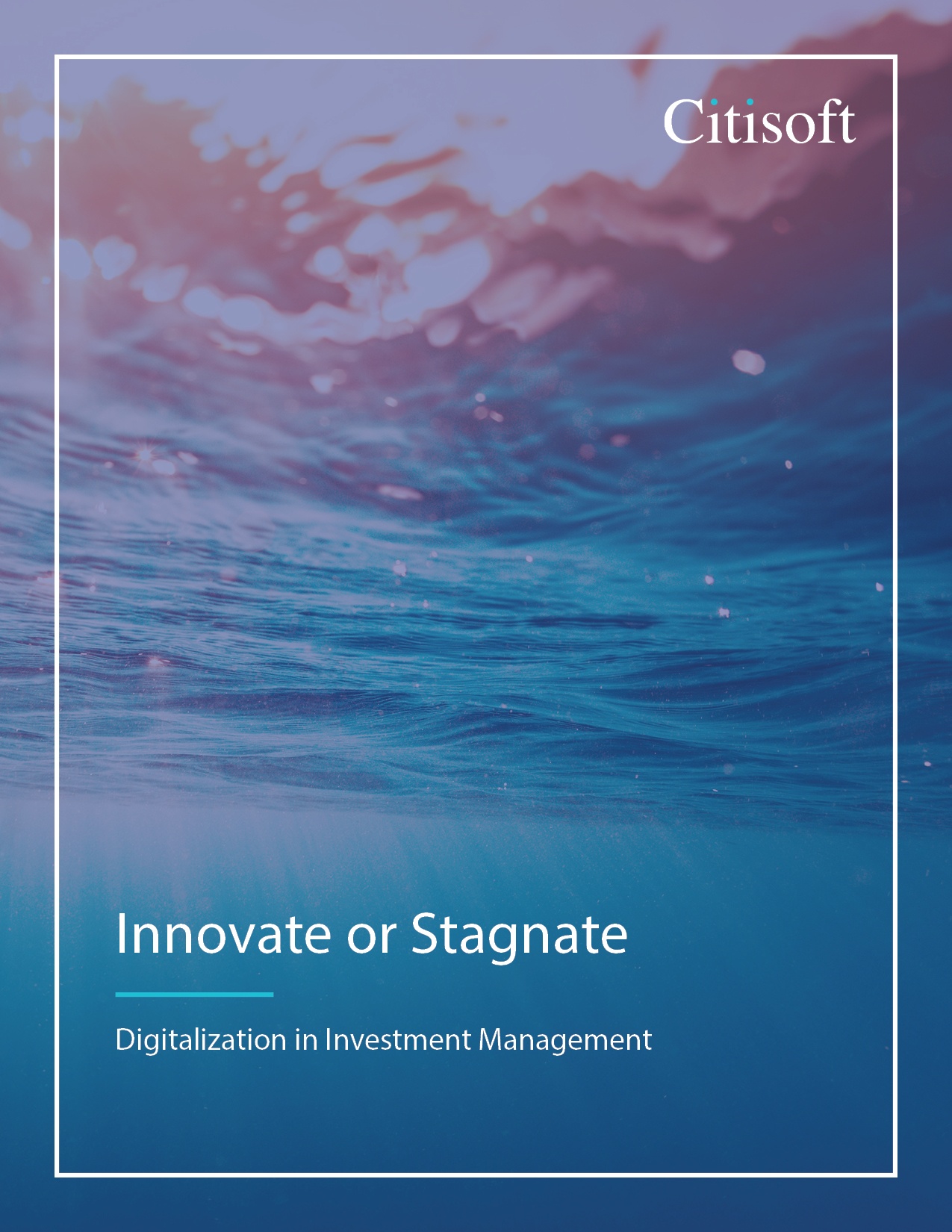 Innovate or Stagnate: Digitalization in Investment Management