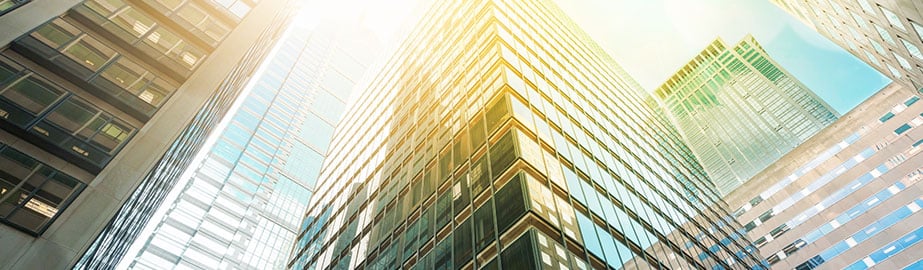 city buildings in the bright daylight