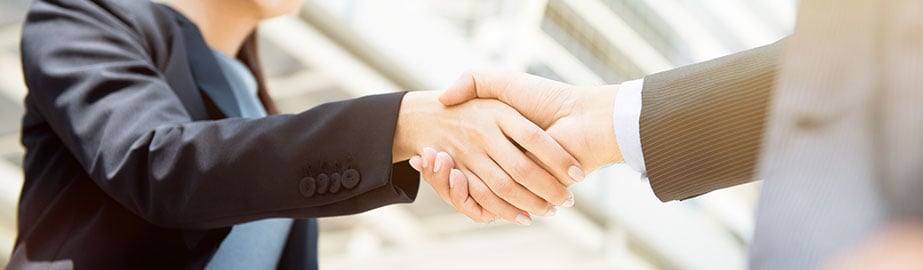 Colleagues shake hands