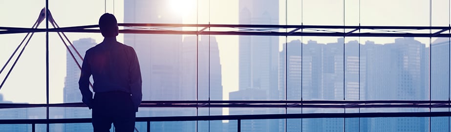 Business professional looks out at city skyline through large glass windows